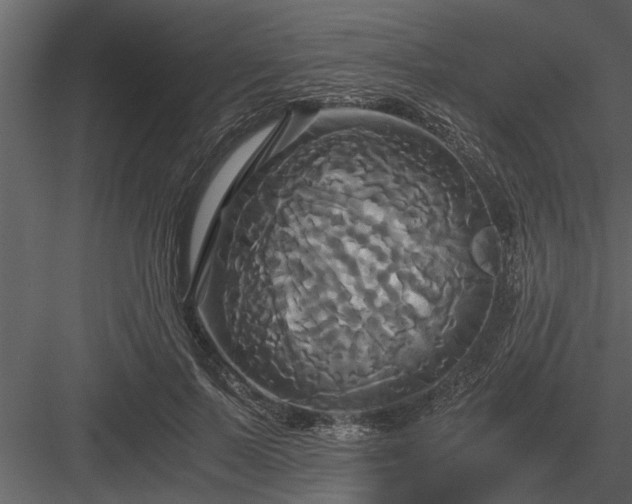 X0000084010695200702232205