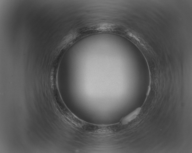 X0000084010696200702232205