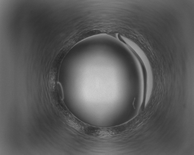 X0000084010697200702232205