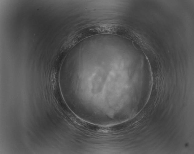 X0000084010699200702232205