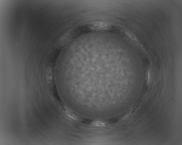 X0000084010701200702232205