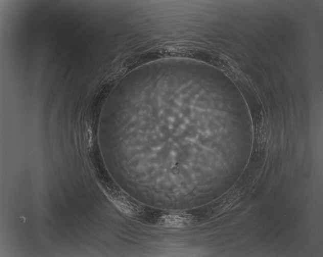 X0000084010703200702232205