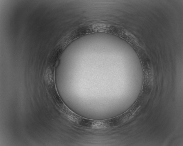 X0000084010705200702232205