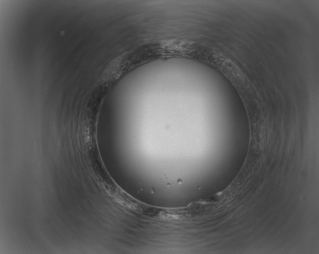 X0000084010706200702232205