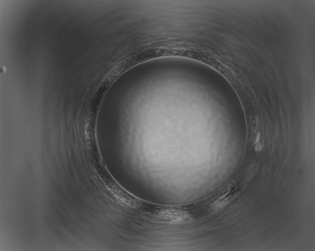 X0000084010708200702232205