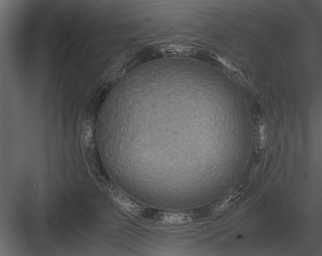 X0000084010709200702232205