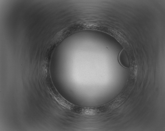 X0000084010710200702232204