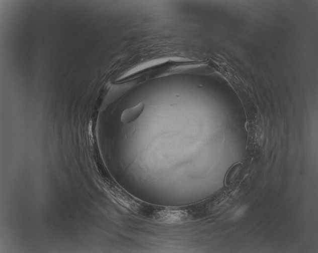 X0000084010711200702232204