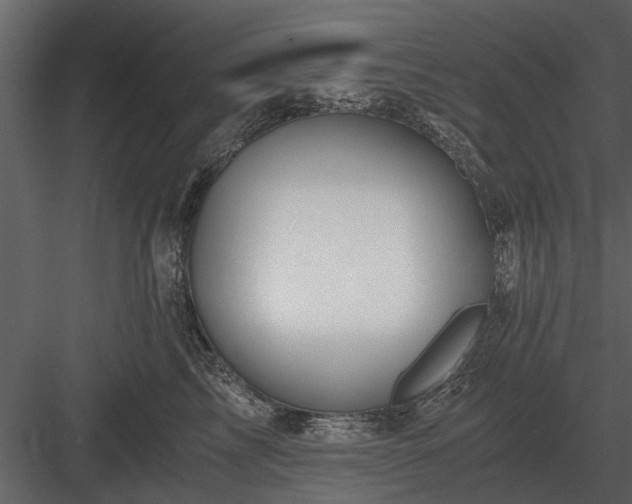 X0000084010713200702232204