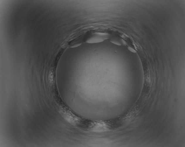 X0000084010715200702232204