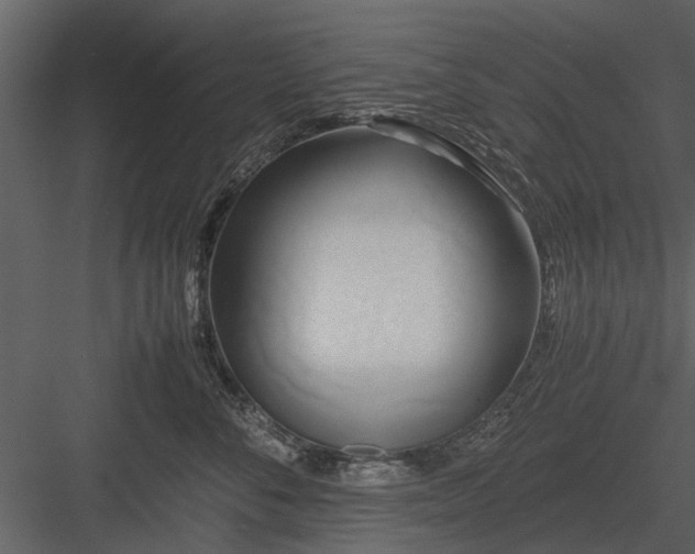 X0000084010716200702232204