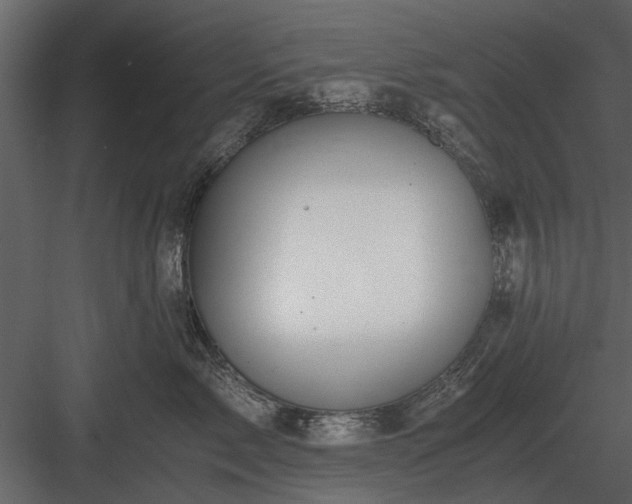 X0000084010717200702232204