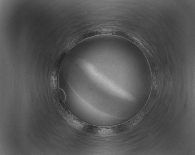 X0000084010718200702232204