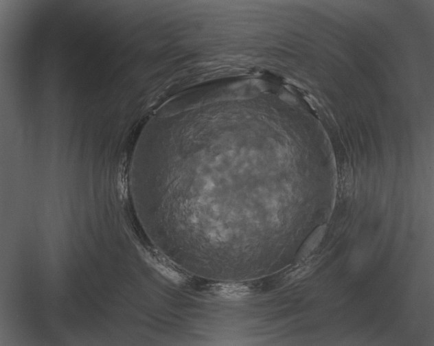 X0000084010719200702232204