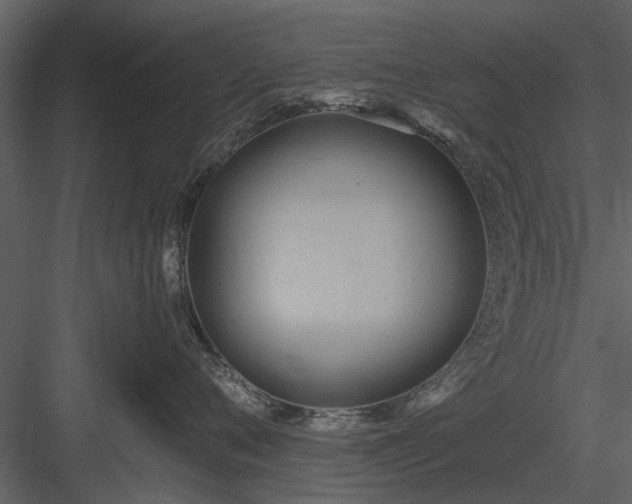 X0000084010720200702232204