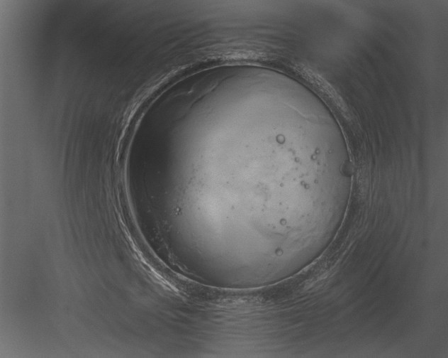 X0000084010721200702232203