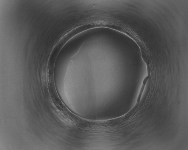 X0000084010722200702232203