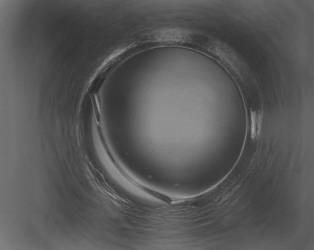 X0000084010723200702232204