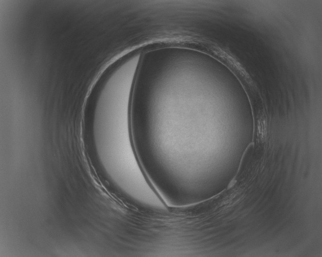 X0000084010724200702232204