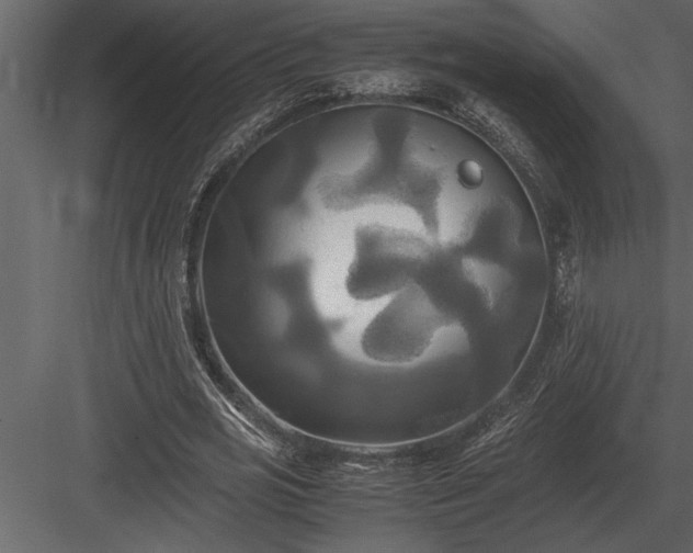 X0000084010725200702232204