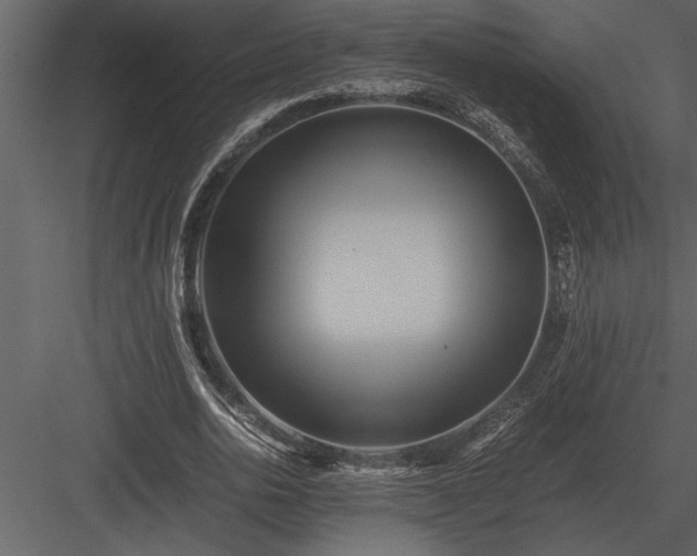 X0000084010726200702232204