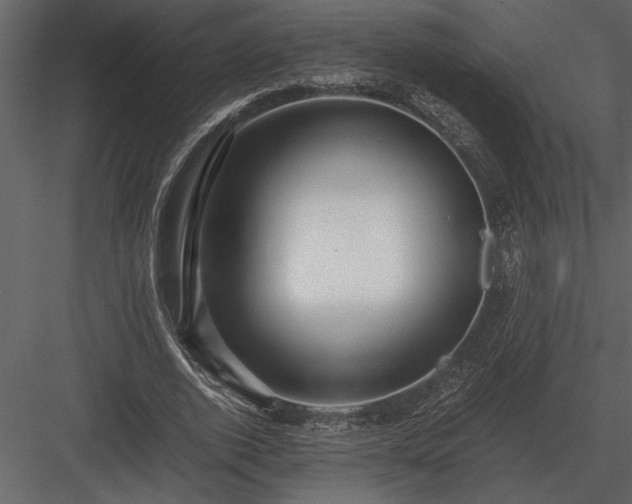 X0000084010728200702232204