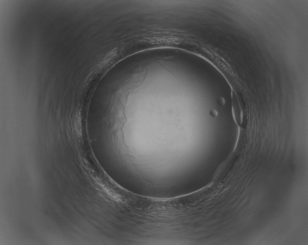 X0000084010729200702232204