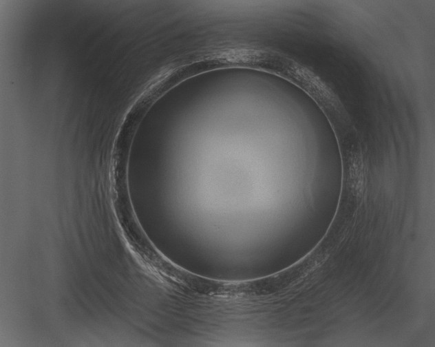 X0000084010730200702232204