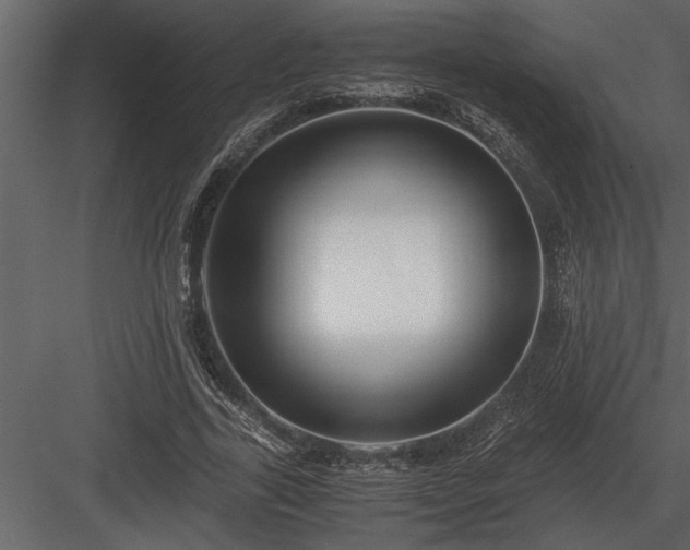 X0000084010731200702232204