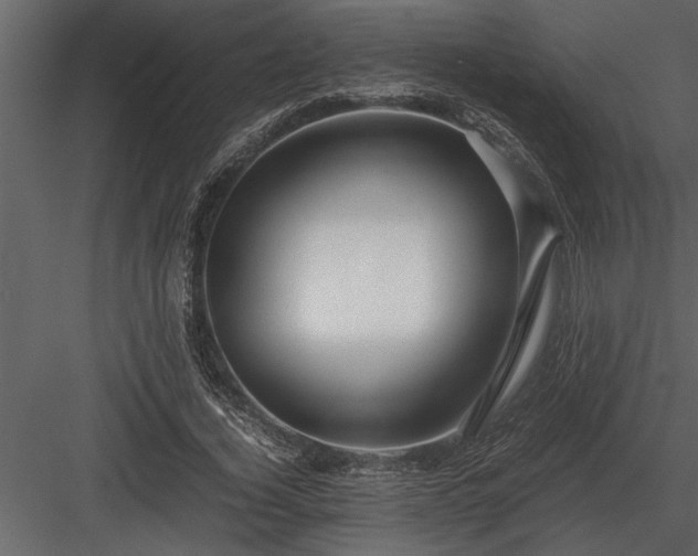 X0000084010732200702232204