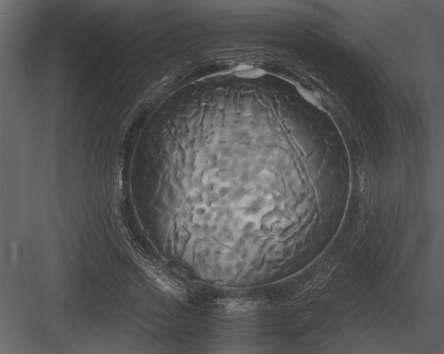 X0000084010733200702232204