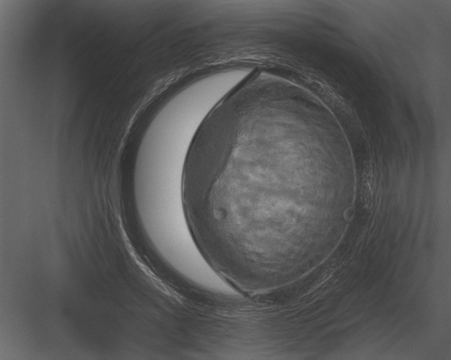 X0000084010734200702232204