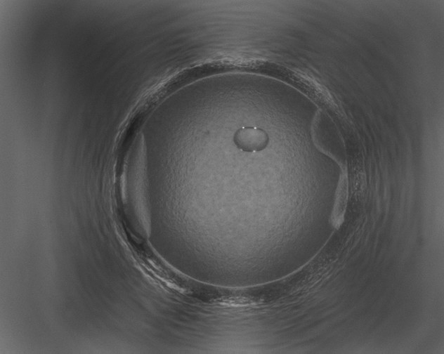 X0000084010736200702232204