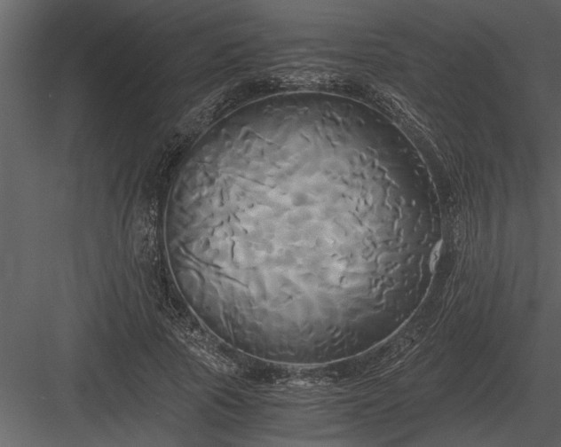 X0000084010737200702232204