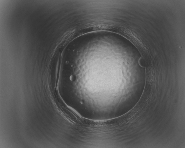 X0000084010738200702232204