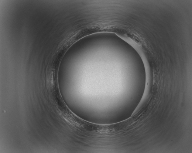 X0000084010740200702232204