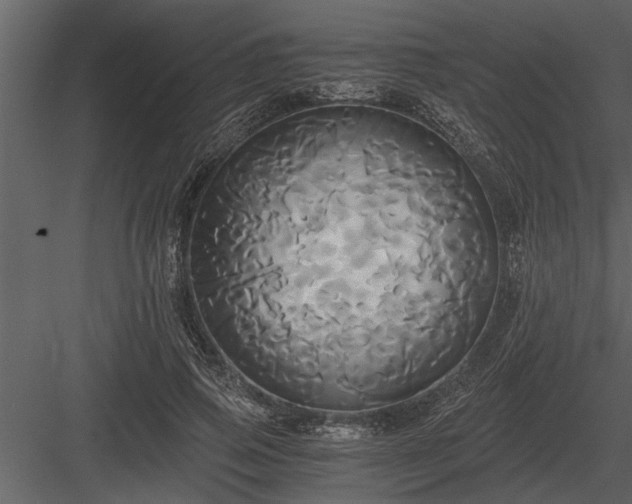 X0000084010741200702232204