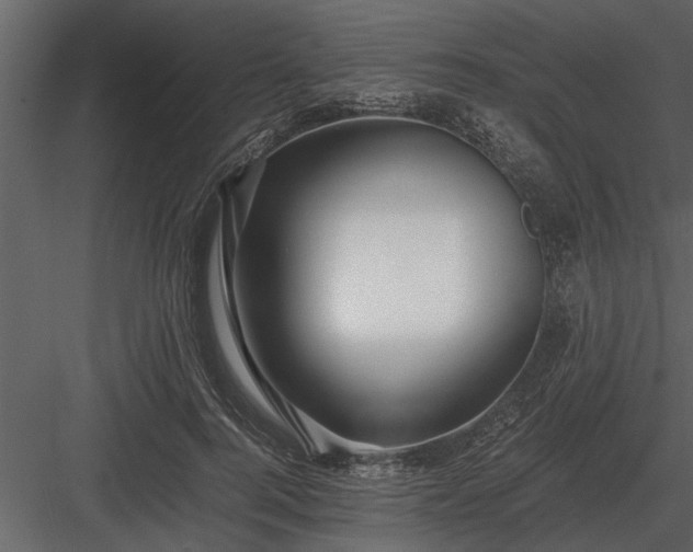 X0000084010744200702232204