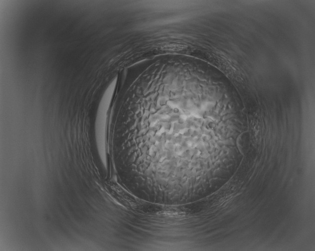 X0000084010745200702232204