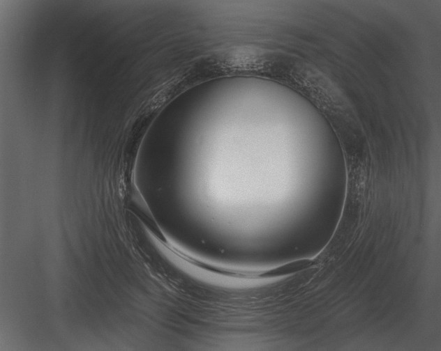 X0000084010746200702232204