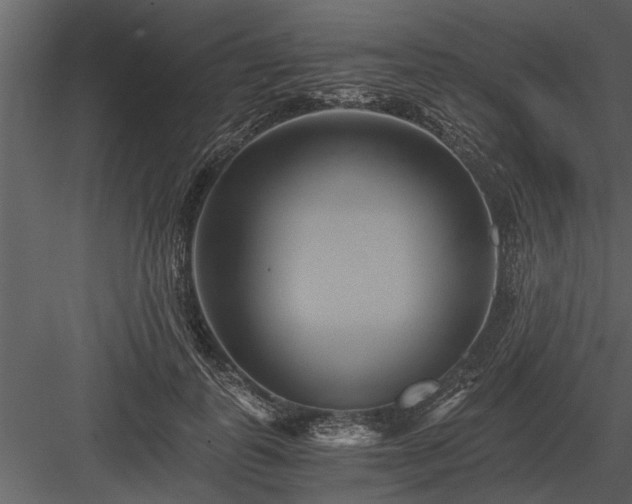 X0000084010747200702232204