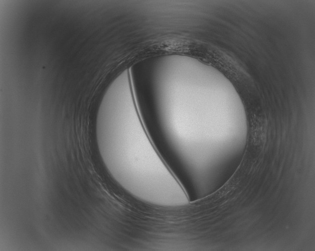 X0000084010748200702232204