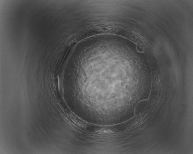 X0000084010749200702232204