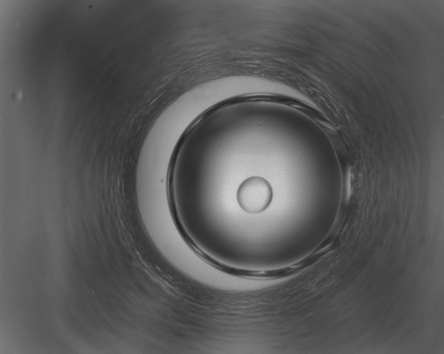 X0000084010750200702232204