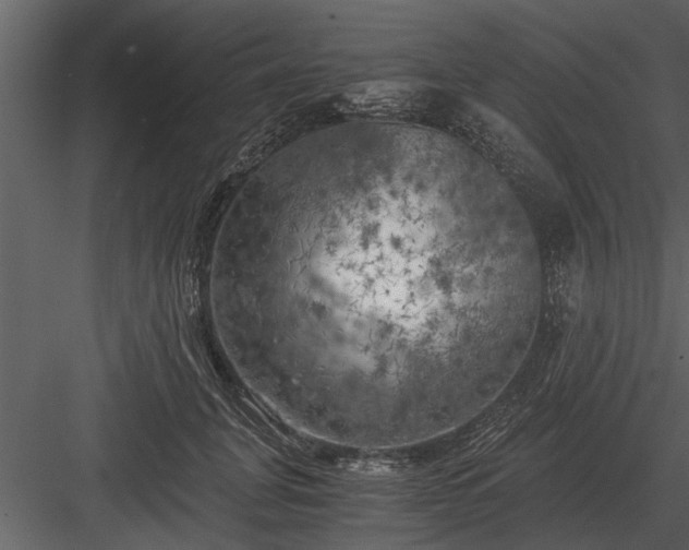 X0000084010751200702232204