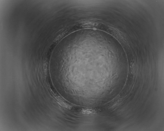 X0000084010753200702232204