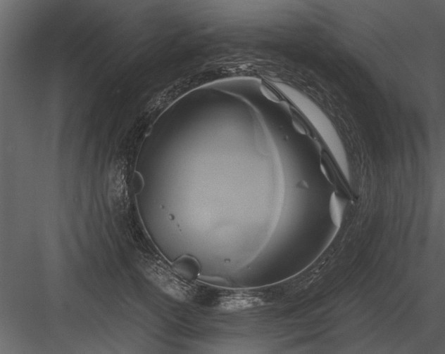 X0000084010754200702232204