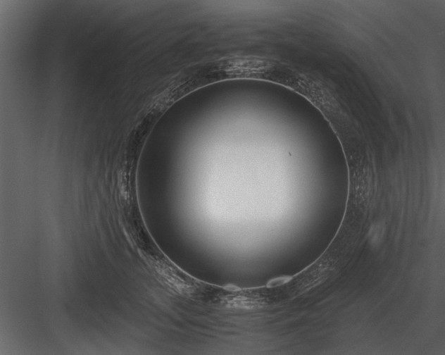 X0000084010755200702232204