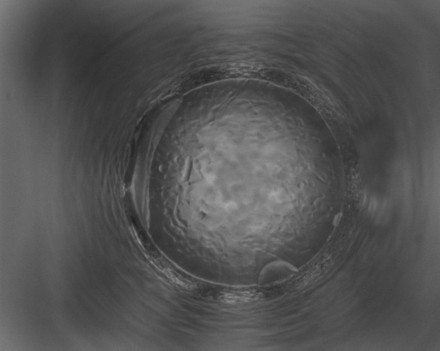 X0000084010757200702232204