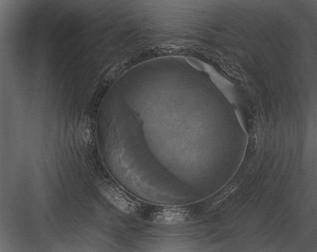 X0000084010758200702232204